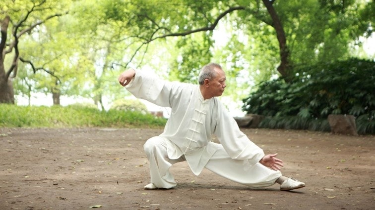Abbildung: Tai Chi Meister