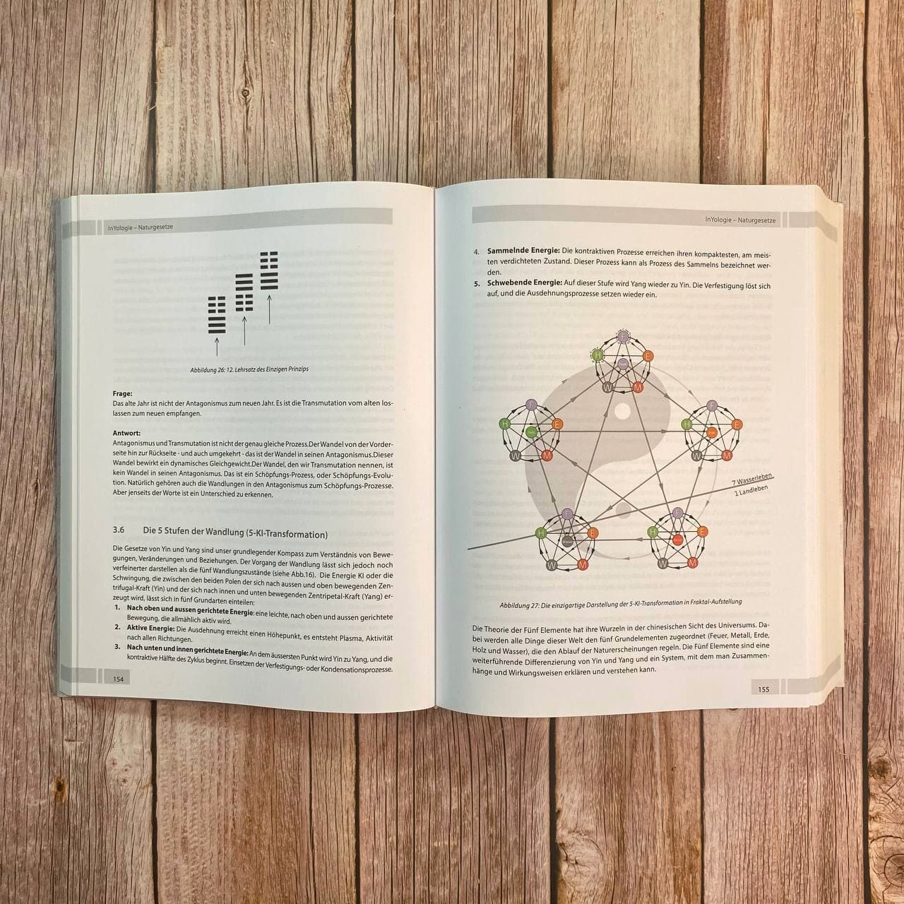 InYologie – Die detaillierte Lehre von Yin und Yang – Bild 3
