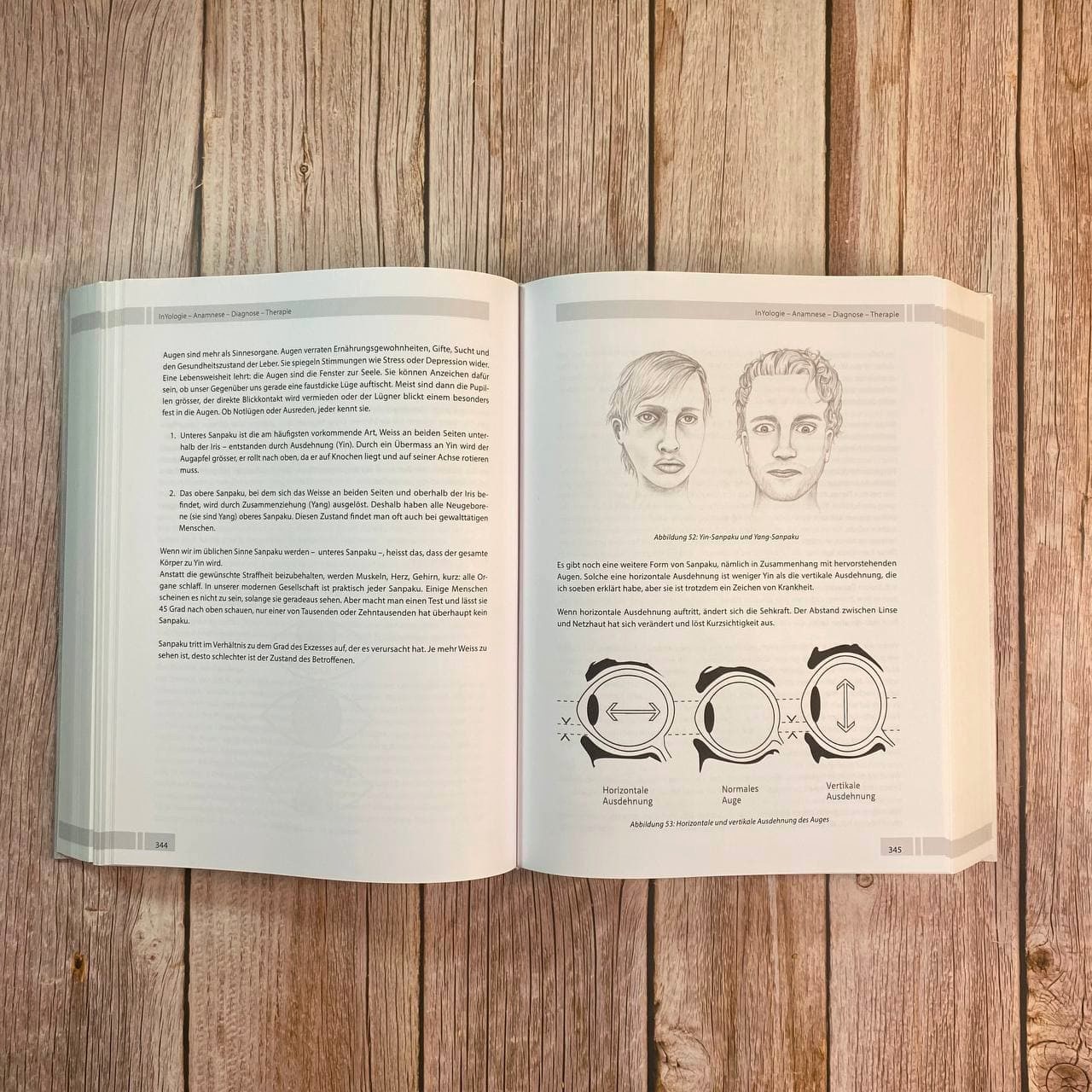 InYologie – Die detaillierte Lehre von Yin und Yang – Bild 4