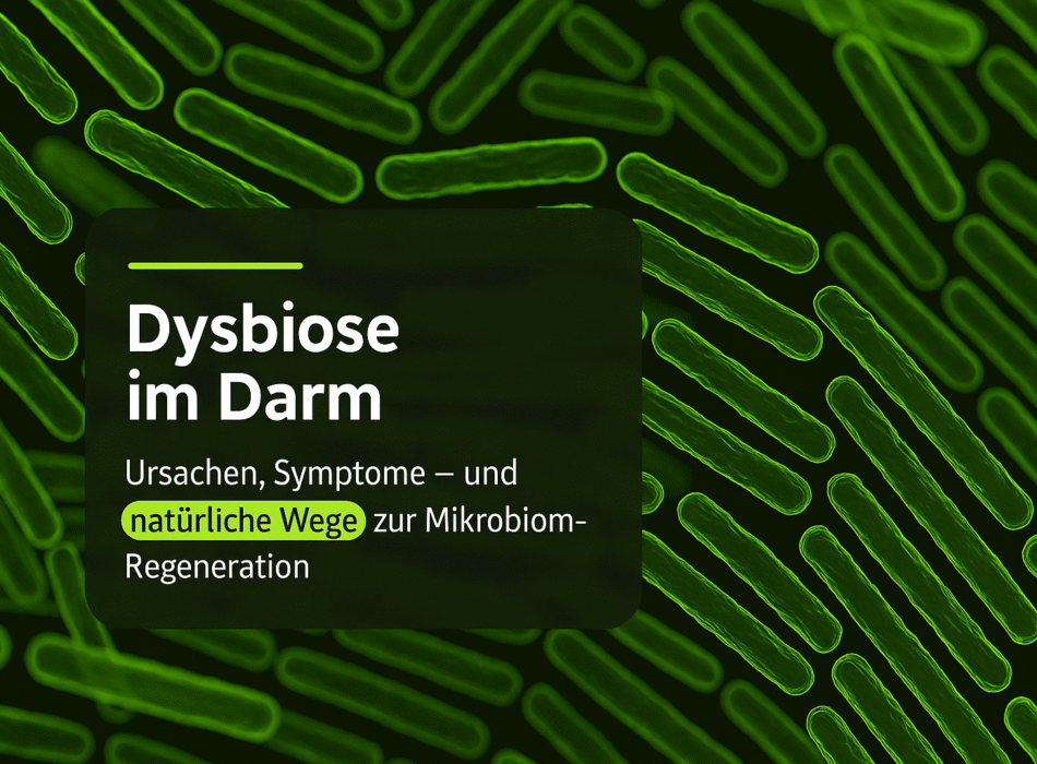 Abbildung von Bakterien mit dem Text "Dysbiose im Darm: Ursachen, Symptome – und natürliche Wege zur Mikrobiom-Regeneration" auf dunklem Hintergrund.
