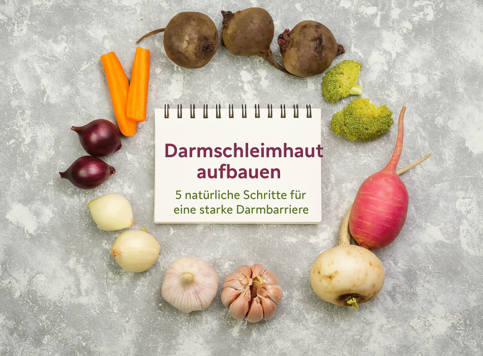Darmschleimhaut aufbauen: Visualisierung von Gemüse wie Karotten, Zwiebeln und Brokkoli sowie einem Notizbuch, das natürliche Strategien für eine starke Darmbarriere darstellt.