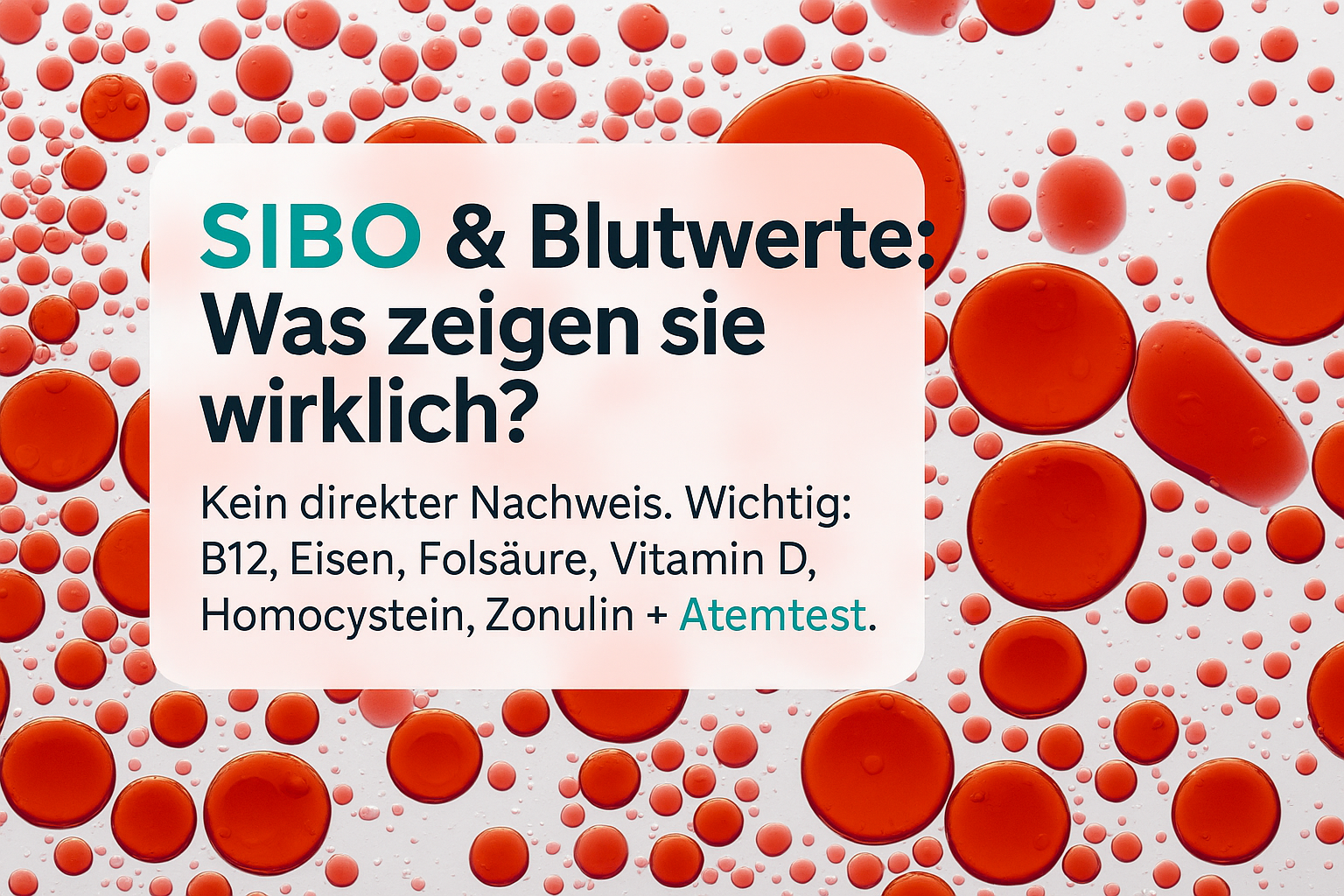SIBO und Blutwerte: Text auf einer farbigen Grafik, die rote Blasen auf einem weißen Hintergrund zeigt. Der Text bespricht den Zusammenhang zwischen SIBO und relevanten Blutwerten.